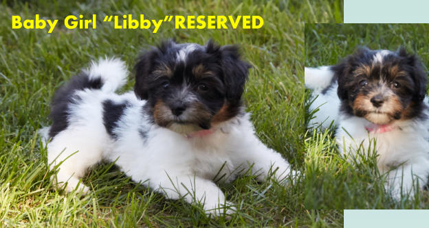 Baby Girl “Libby”RESERVED
