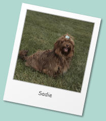 Sadie