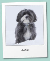 Josie